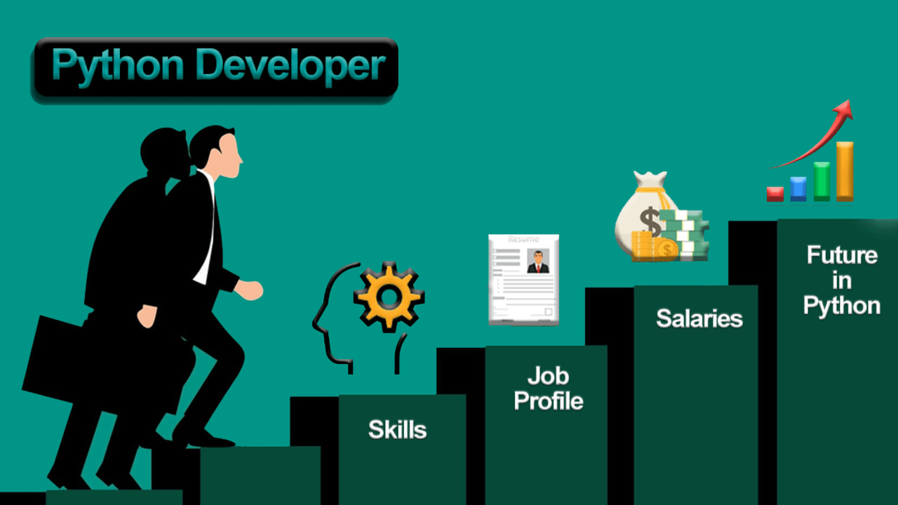 Python Developer Salary