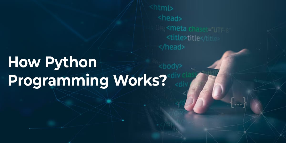 How-Python-Programming-Works