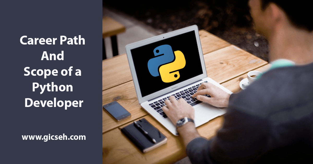 career path scope python