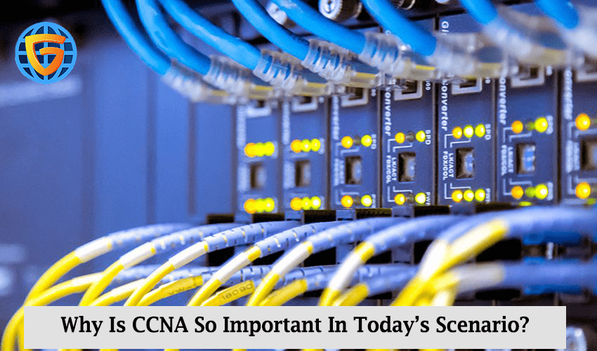 ccna course in noida