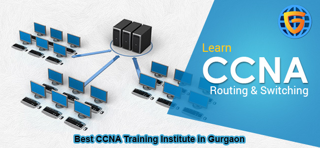 CCNA Training Institute