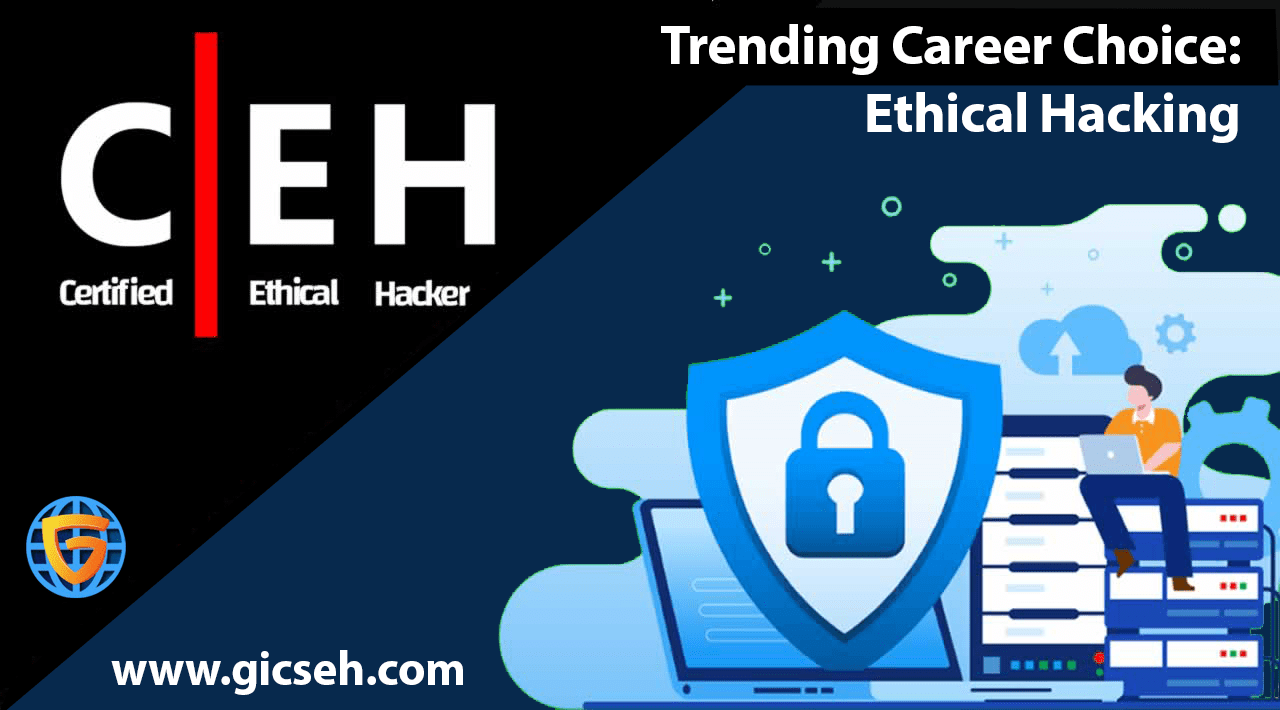 Ethical hacking career choice
