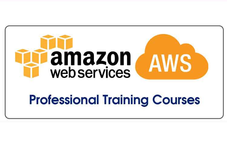 amazon web services(AWS)