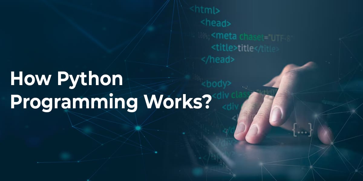How-python-programming-works