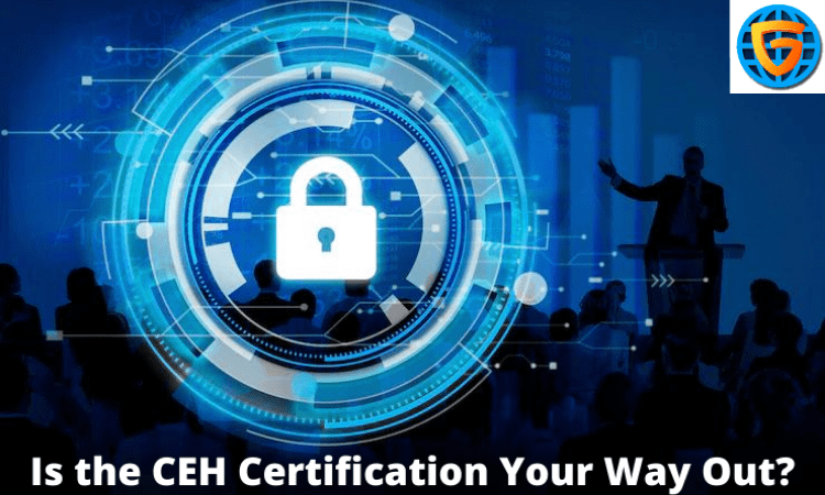 ceh certification