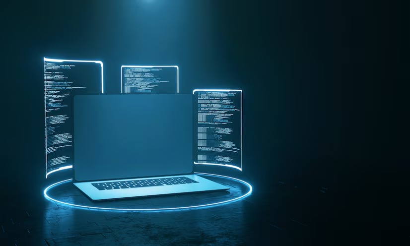 coding in government sectors