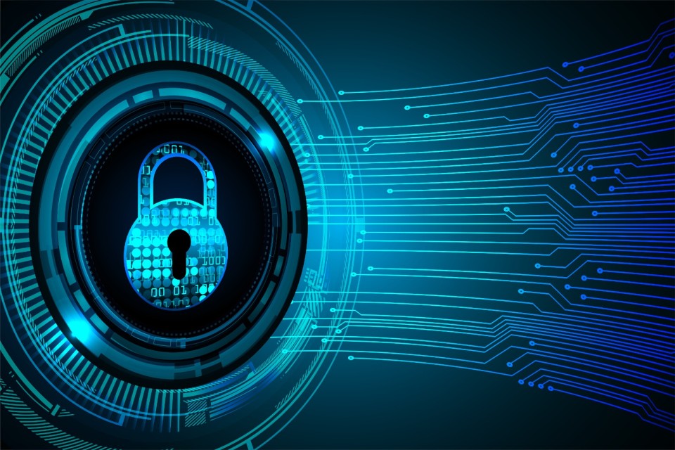 importance of cyber security.
