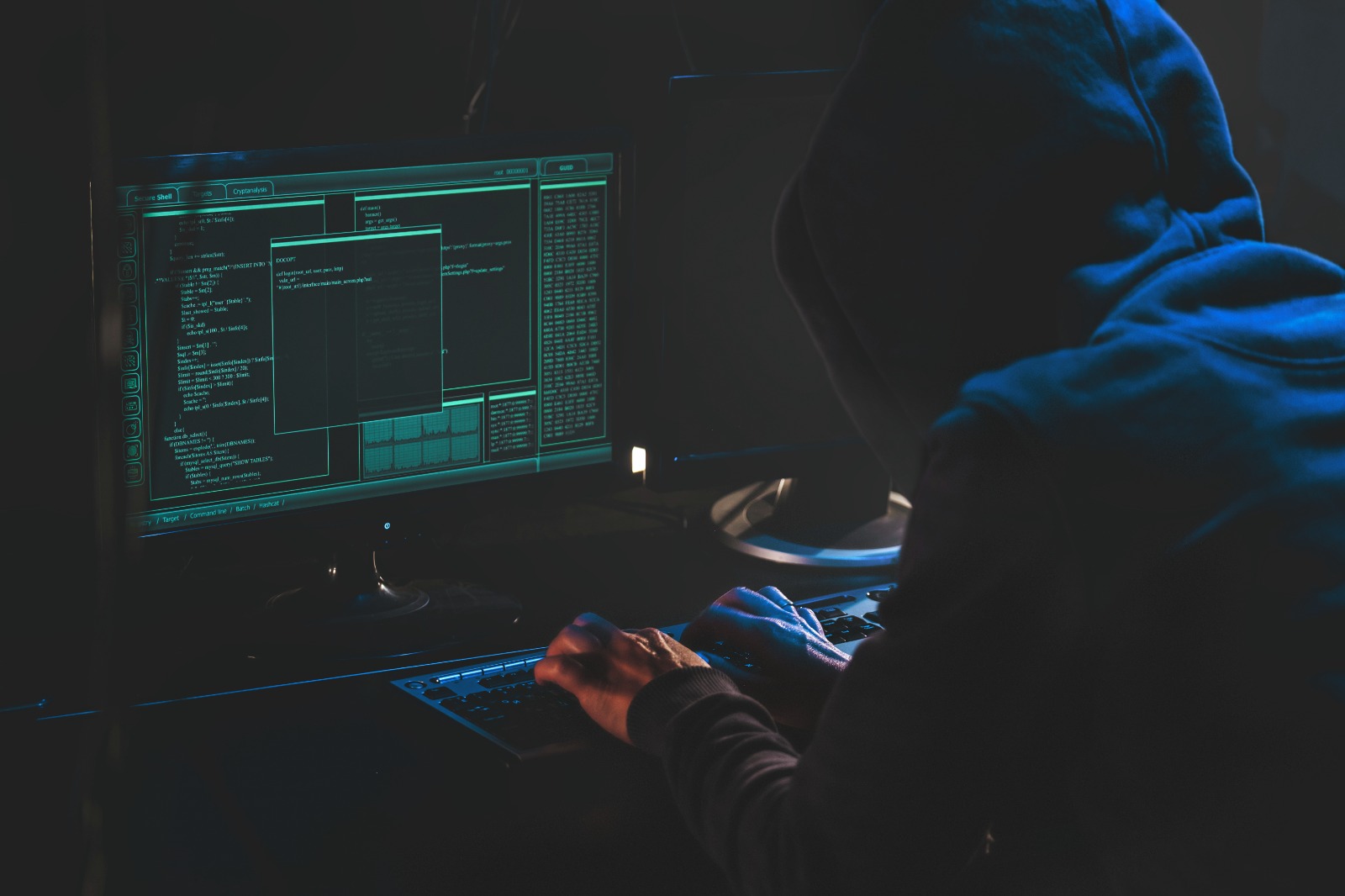 top ethical hacking institute